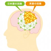 日本語脳