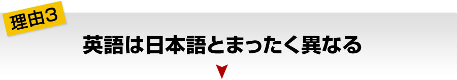 理由3